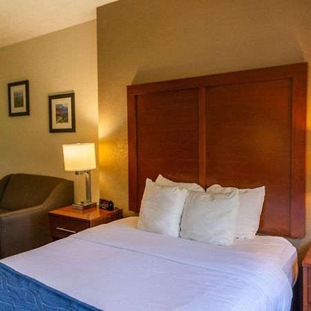 Comfort Inn North Colorado Springs Exterior foto